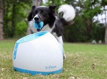 ball shooter for dogs